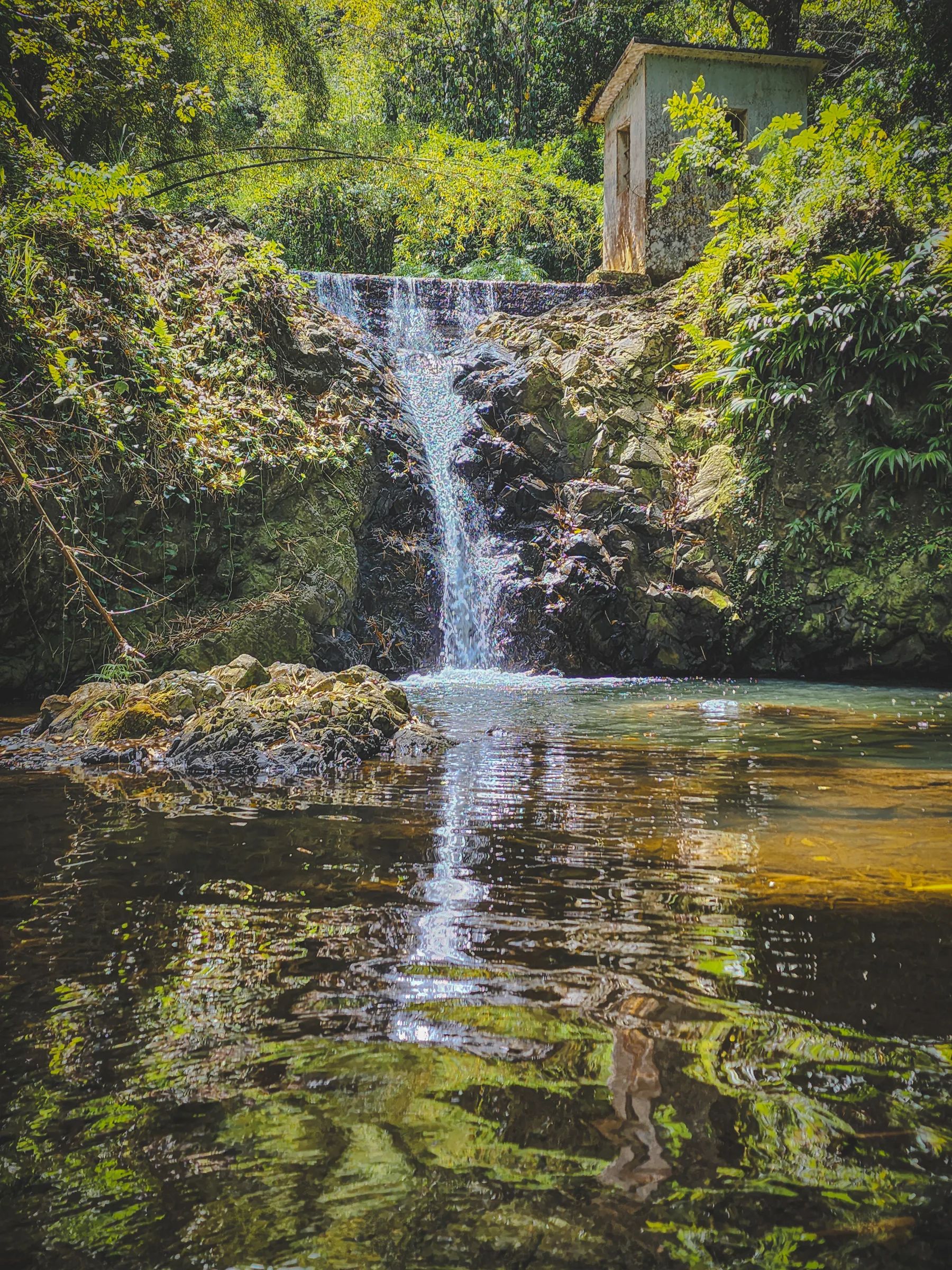 Charco de los Pejes