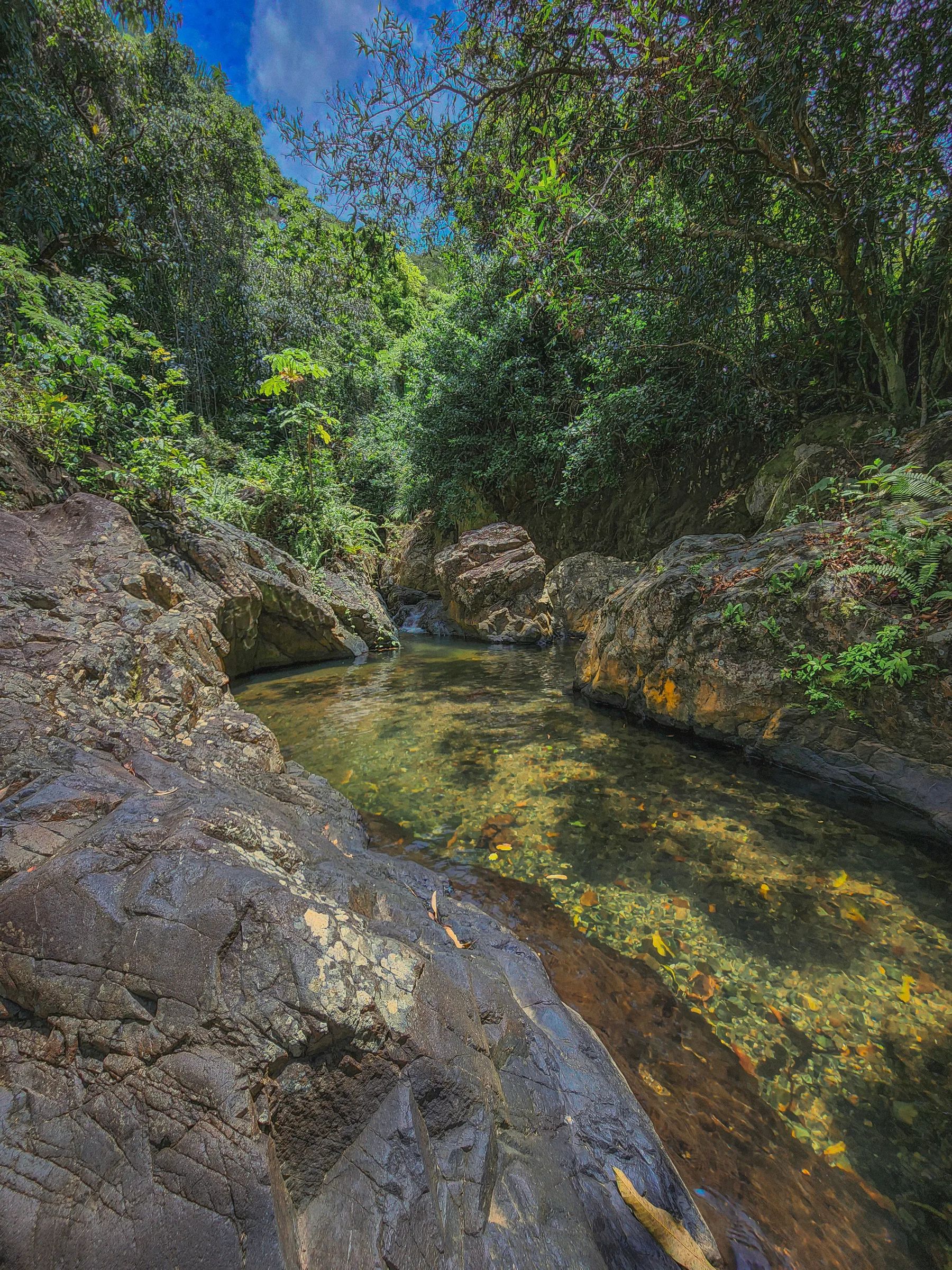 Charco el Ahogao'