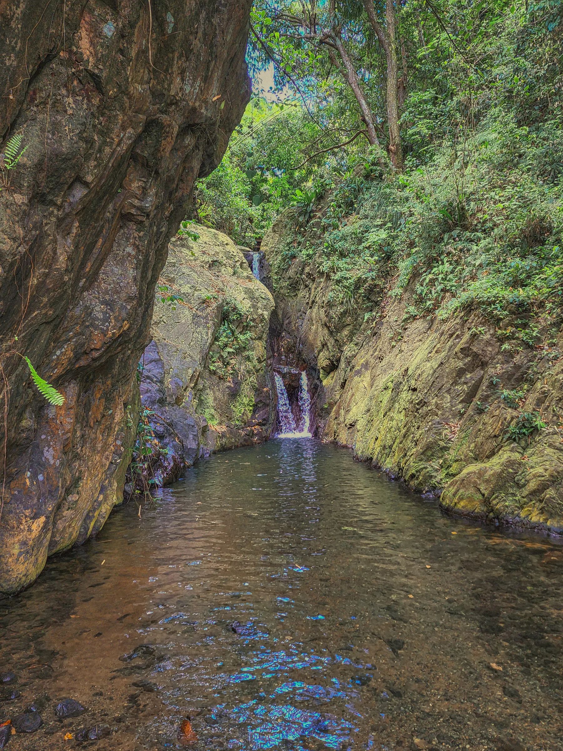 Charco La Cabra
