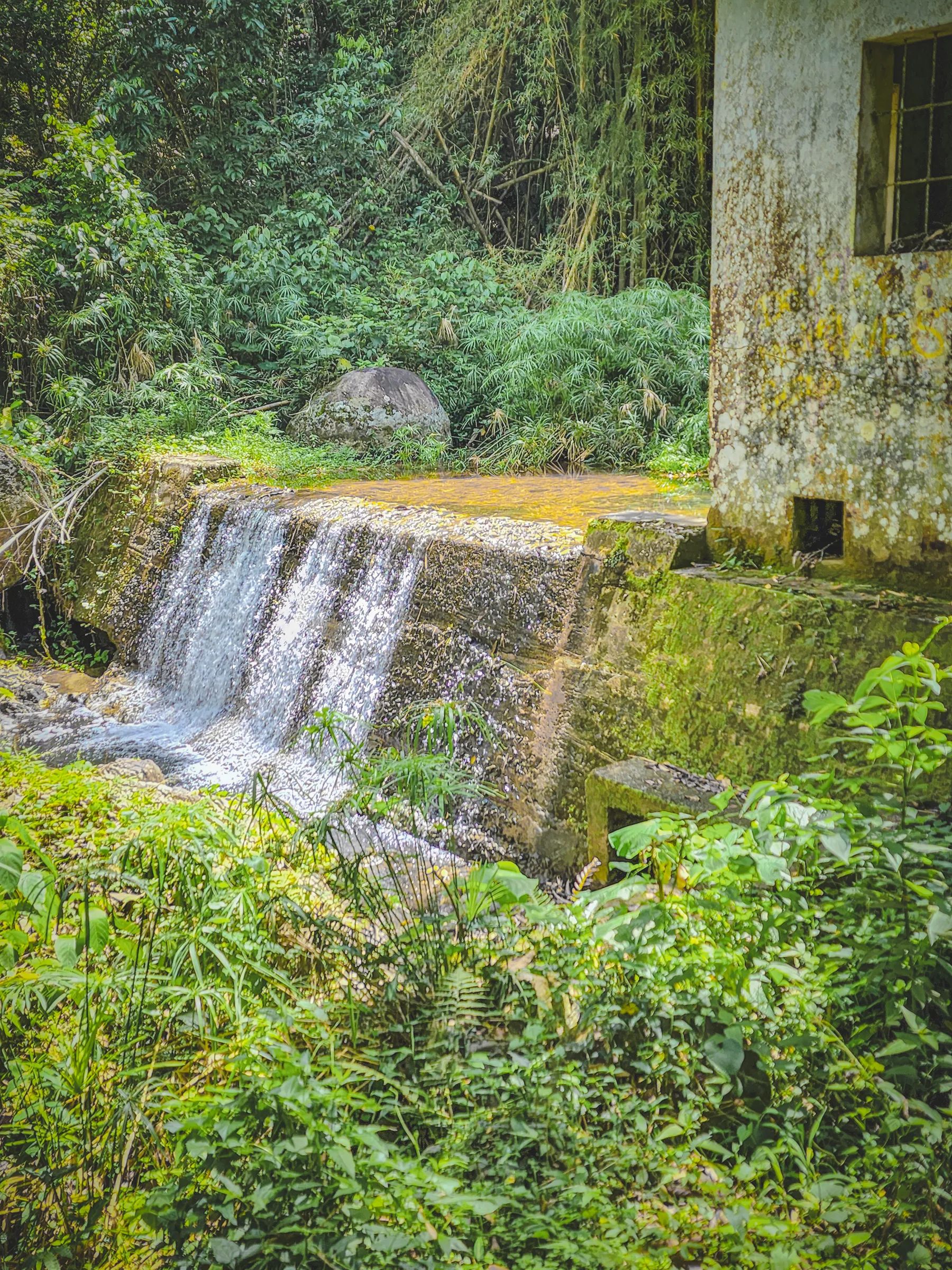 Charco La Represa