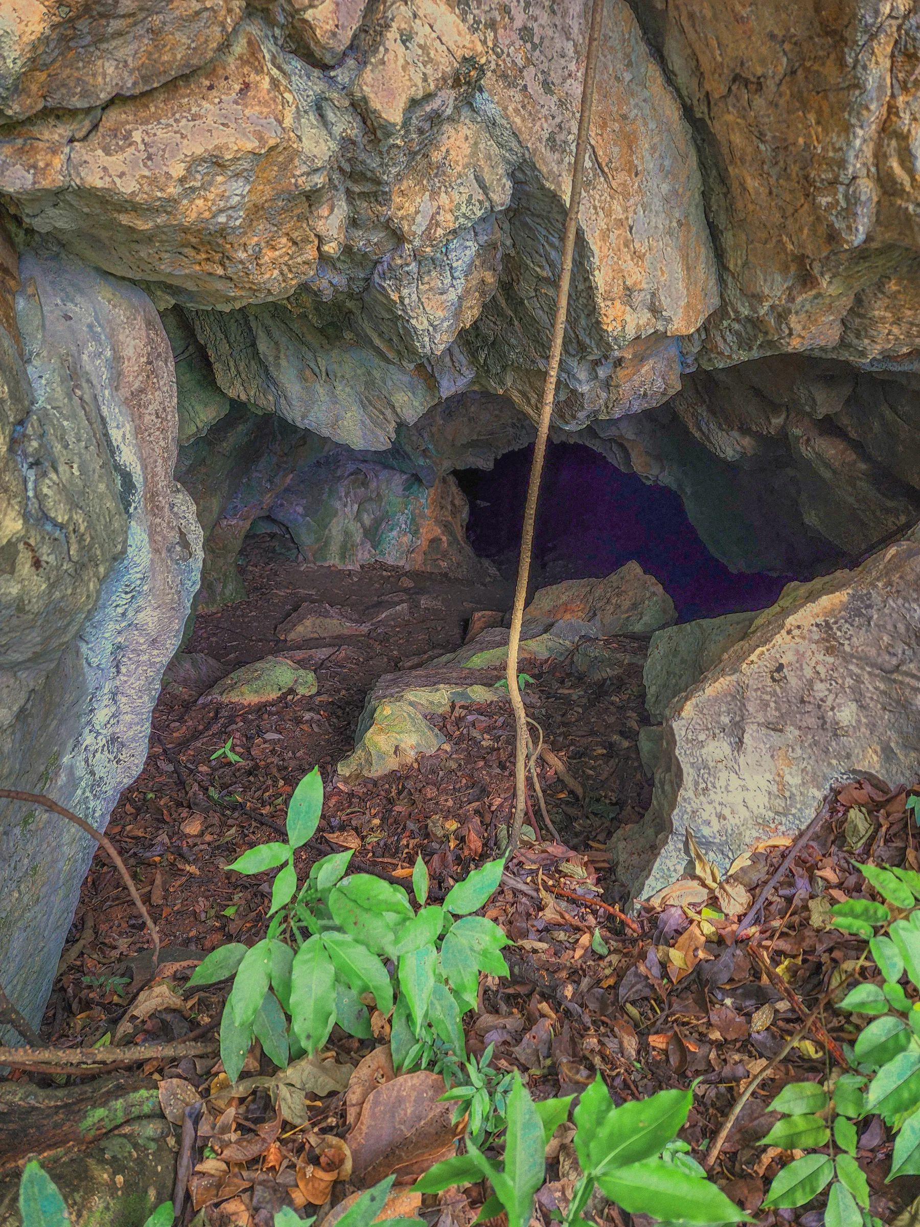 Cueva Maruca — foto