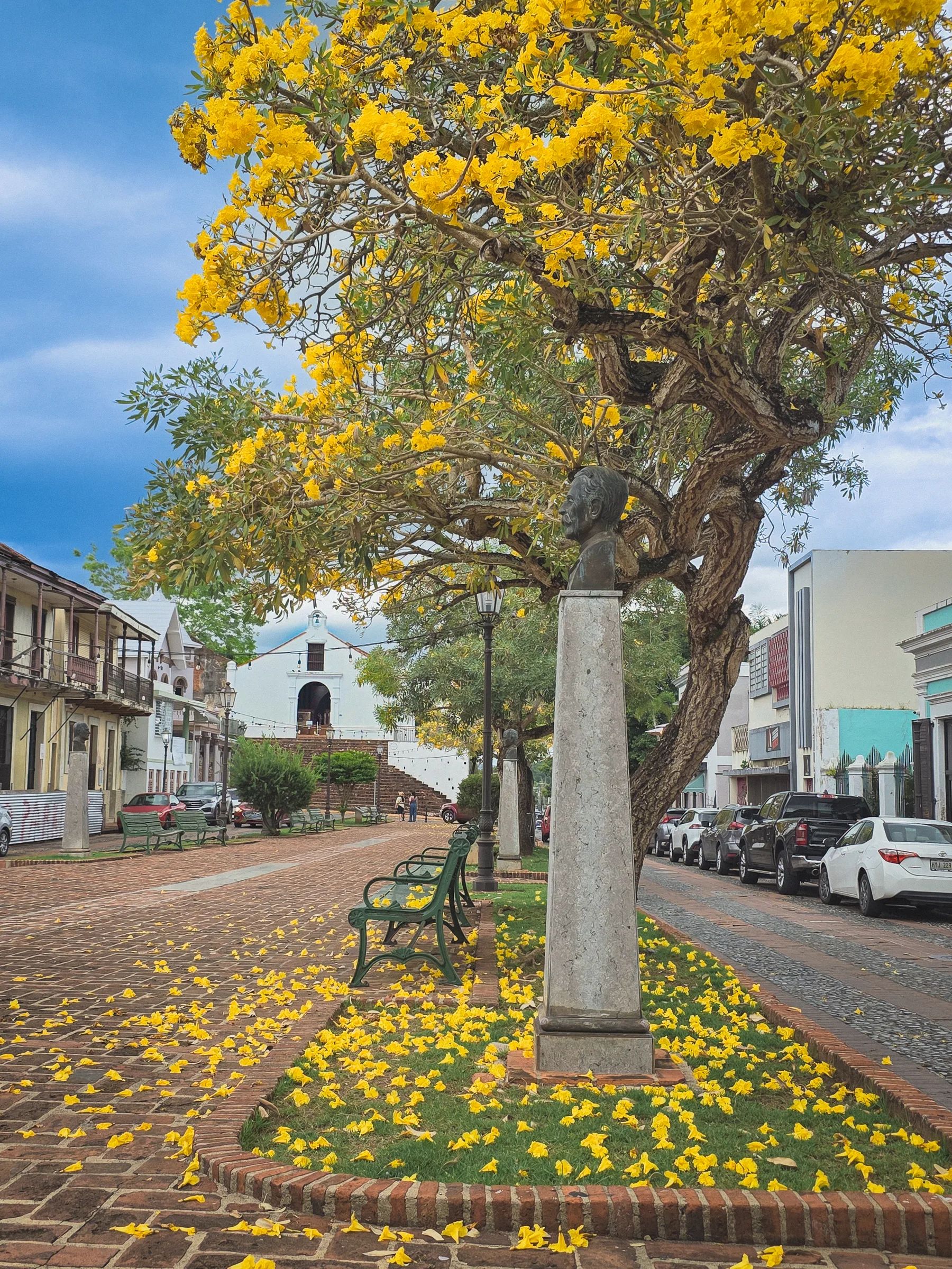 Plaza Santo Domingo