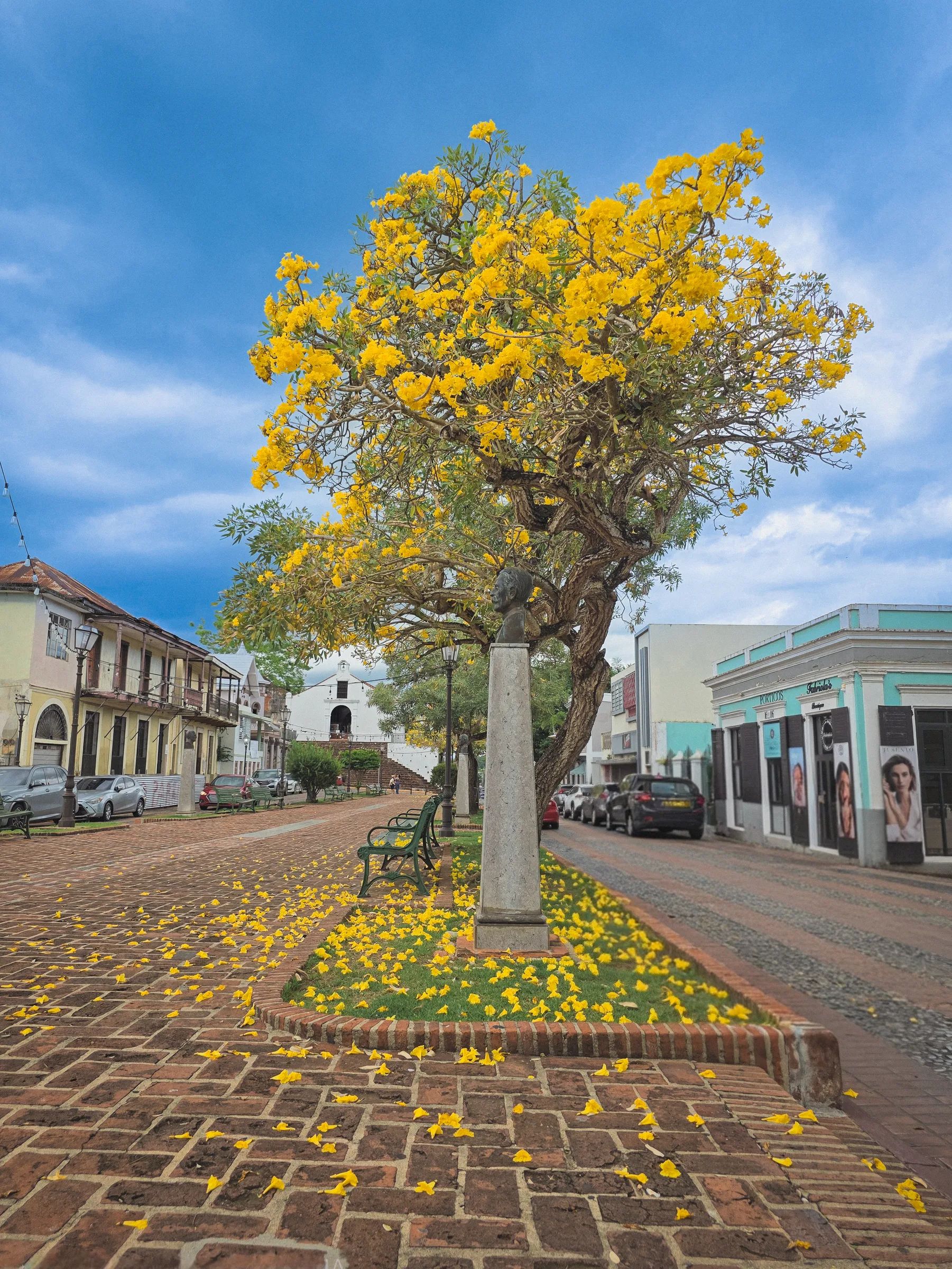 Plaza Santo Domingo — foto
